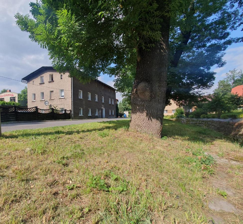 Apartament Chelmsko Slaskie *